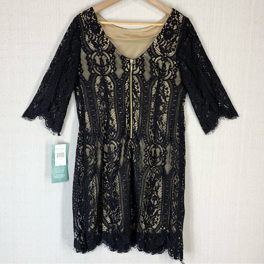 RN‎ Studio~NWT~Women's Elegant Black Lace Party/Cocktail Midi Dress~Sz 10P - Picture 7 of 15